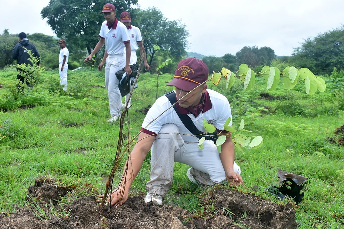 Briefs: NDA Carries out Plantation Drive; Sena (UBT) Demands Repairs 
Satara Medical College